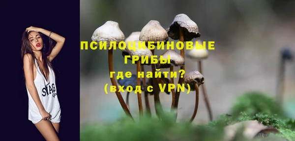 прущие крисы Белоозёрский