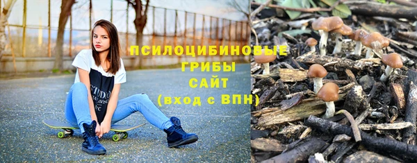 винт Белокуриха