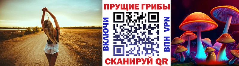 Галлюциногенные грибы MAGIC MUSHROOMS  как найти наркотики  Дигора 
